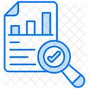 Audit  Icon