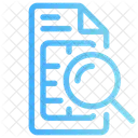 Audit  Icon