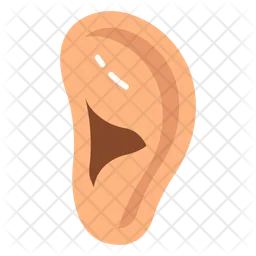 Auditory organ  Icon