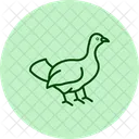 Auerhahn  Symbol