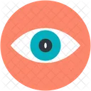 Auge Ansicht Sichtbarkeit Icon