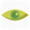 Auge  Symbol