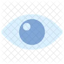 Auge Ansicht Vision Icon