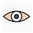 Auge Ansicht Blick Icon