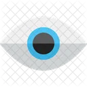 Auge Netzhaut Sichtbar Icon