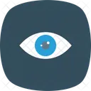 Auge Finden Schauen Icon