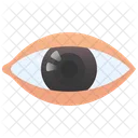 Auge  Symbol