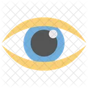 Augenuberwachung Auge Augenscan Symbol