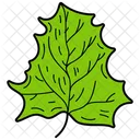 Auriculate Leaf Leaf Foliage Icon