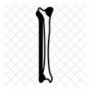 Aussenknochel Symbol