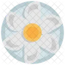 Auster Meeresfruchte Gericht Symbol