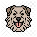 Australian Shepherd Dog Icon