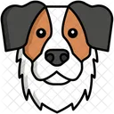 Australian Shepherd Pet Dog Dog Icon