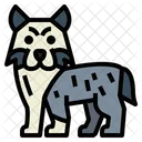 Australian Shepherd  Symbol