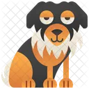 Australiano  Ícone