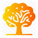 Arbol De Otono Naturaleza Arbol Seco Icon