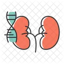 Illness Autoimmune Disease アイコン
