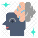 Cerebro Cerebros Cabeza Icono