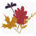 Autum Leaf  Icon