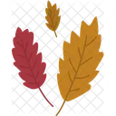 Autum Leaf  Icon