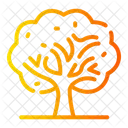 Autum tree  Icon