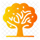 Autum Tree Nature Dry Tree Icon