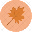 Autumn  Icon