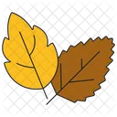 Autumn Foliage Leaf Icon
