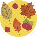 Thanksgiving Autumn Leaves Icon
