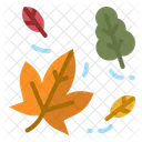 Autumn Fall Leaf Icon