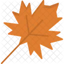 Autumn Dry Leaves Icon