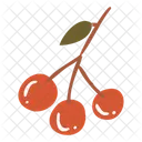 Autumn berry  Icon