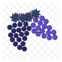 Harvest Grape Autumn Bunch Of Grapes Fall Harvest Icon