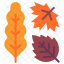 Autumn Leaf Thanksgiving Icon