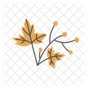 Autumn  Icon