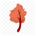 Autumn  Icon