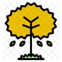Autumn  Icon
