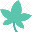 Autumn  Icon