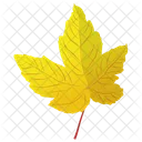Autumn Leaf Leaf Leaf In Fall Icon