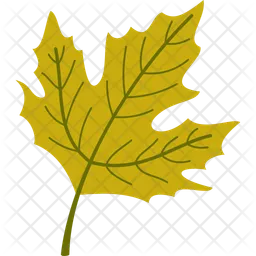 Autumn Leaf  Icon