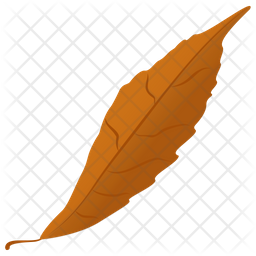 Autumn Leaf Icon
