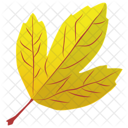Autumn Leaf Icon