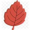 Leaf Autumn Foliage Icon