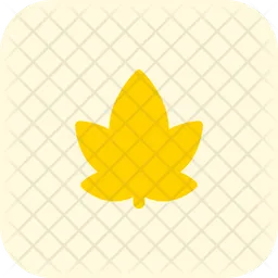 Autumn Leaf  Icon