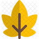 Autumn Leaf Icon