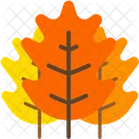 Autumn Leaf Maple Leaf Leaf In Fall Icon
