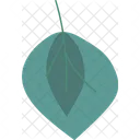 Autumn leaf  Icon