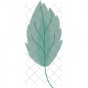 Autumn leaf  Icon