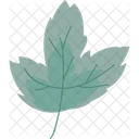 Autumn Leaf Colorful Symbol Cartoon Foliage Design Element Symbol