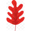 Autumn Leaf Colorful Symbol Cartoon Foliage Design Element Symbol
